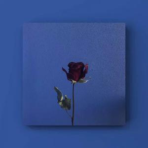 湘香女王深喉VK
